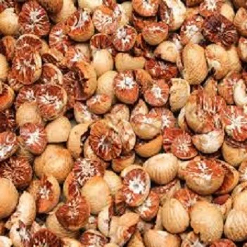 Export Quality Areca Broken Split Betel Nut At Wholesale price