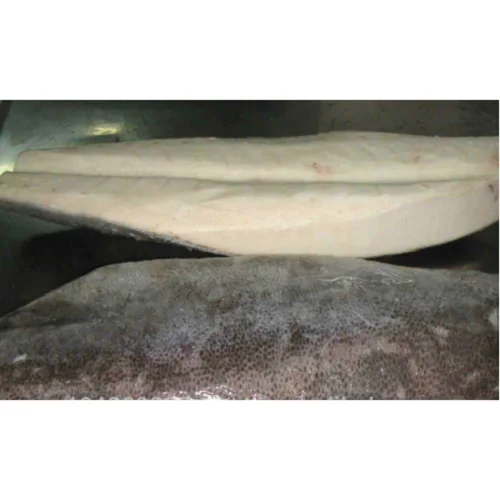 Frozen Fish Fresh Tilapia Supplier Block Bulk Style Packaging Package Weight Lbs Shelf Origin Latin Type Frozen Oilfish Fillets