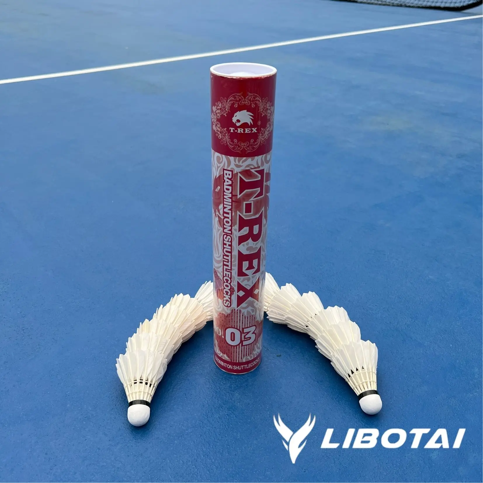 Shuttlecock Badminton aeroplane Trophy Golden Class A Duck feather Shuttlecock