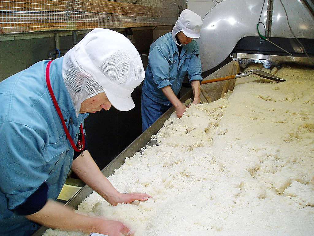 The vegan miso soup instant powder  Vitamin, calcium, zinc, dietary fiber, isoflavone      Launch date Jan 2022