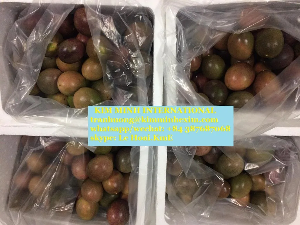PASSION Fruit COMMON Fresh Passion Fruit Export with Cheap Price
