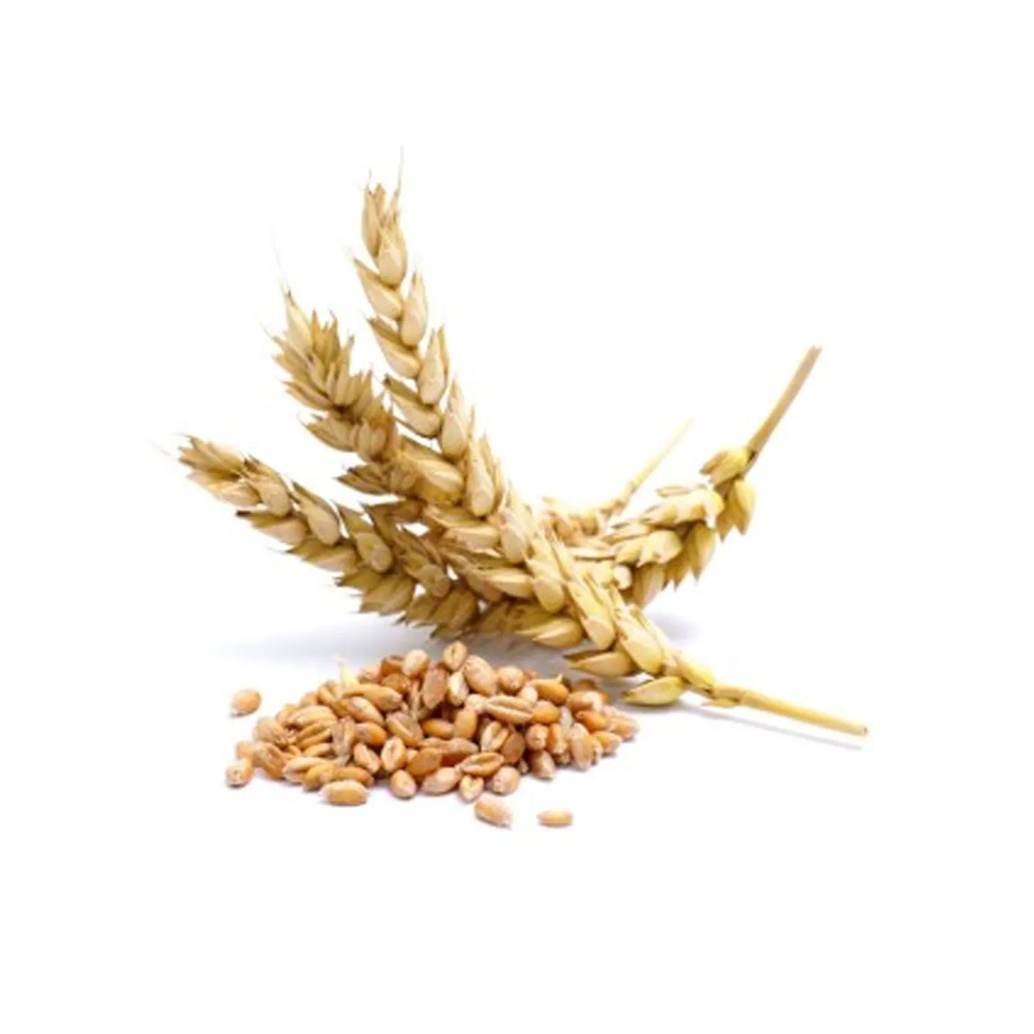 Измельчитель пшеницы без ГМО