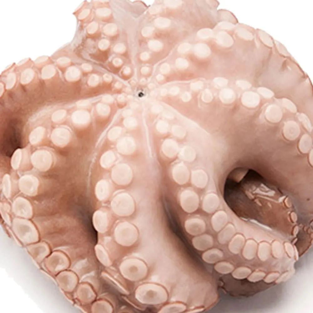 Fresh Frozen Octopus Long Leg / Short Leg 300-500g in Bulk