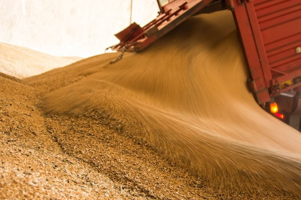 Top Quality 100% Italian Dry pasta 500g Penne Tricolore in bag Durum Wheat semolina Pasta for Cooking