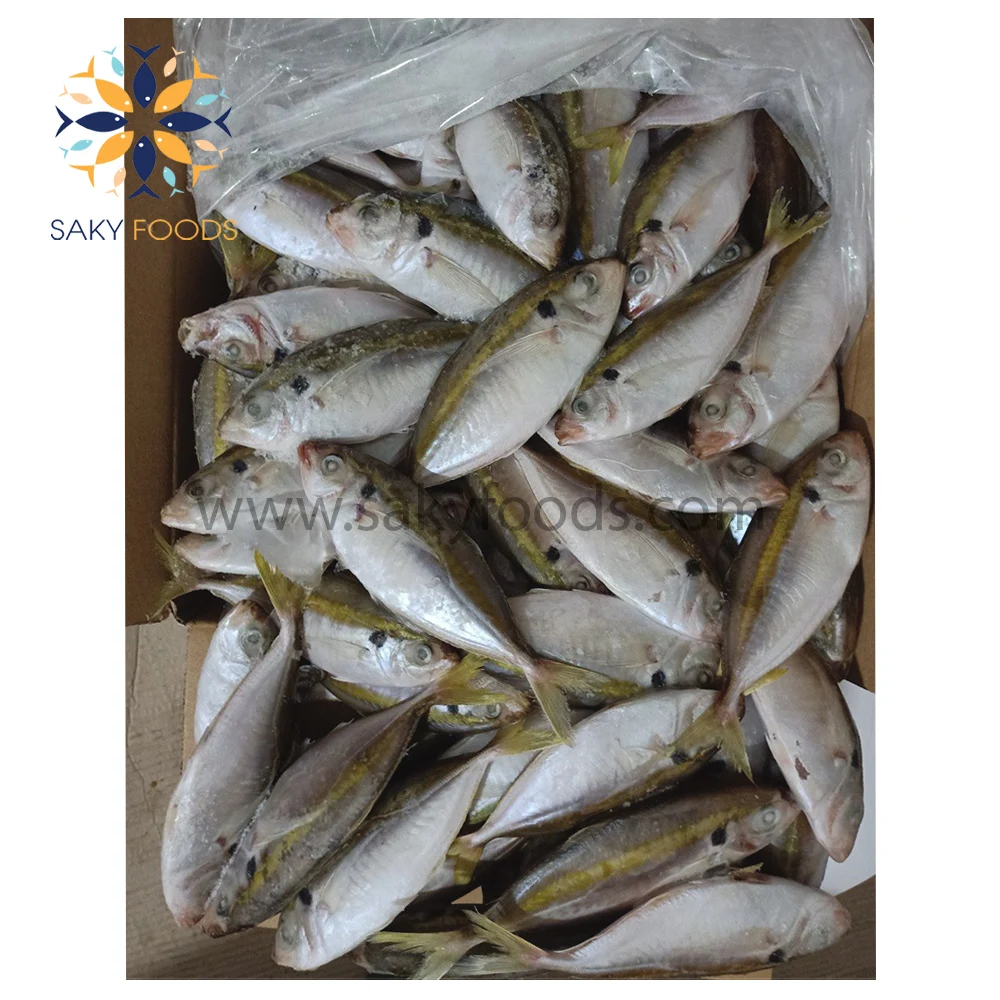 High Quality 2022 Yellow stripe trevally fish with Best Price Seafood made in Viet Nam yellow stripe fish