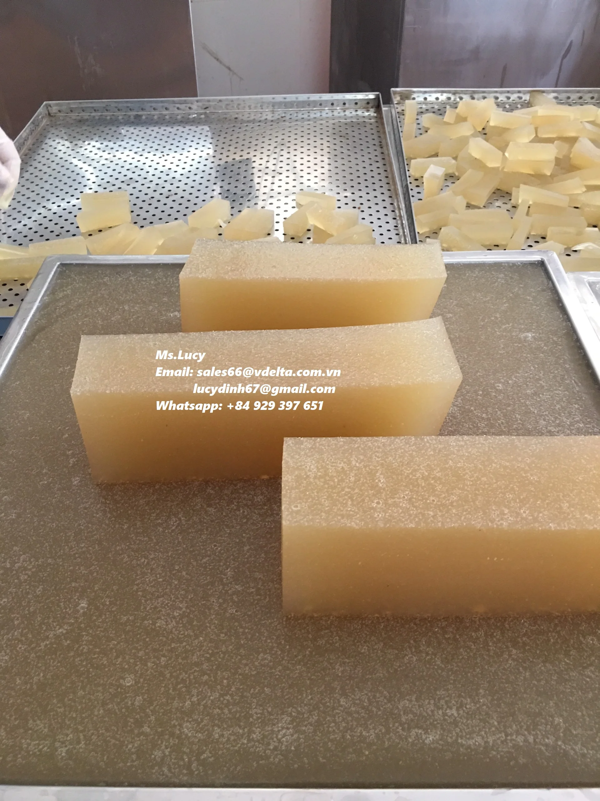  Органический и полезный морской Мох/ирландские жевательные резинки из Вьетнама (г-жа Люси + 84 929 397 651)