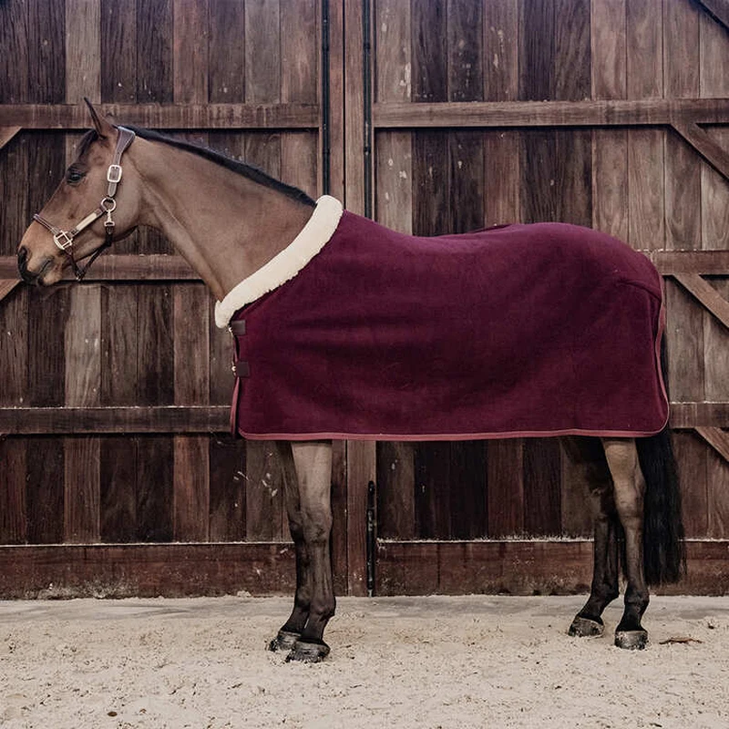 wholesale High quality Fly Rug Mesh Rug Horse Blanket Customized Standard Blanket Summer Horse Rug