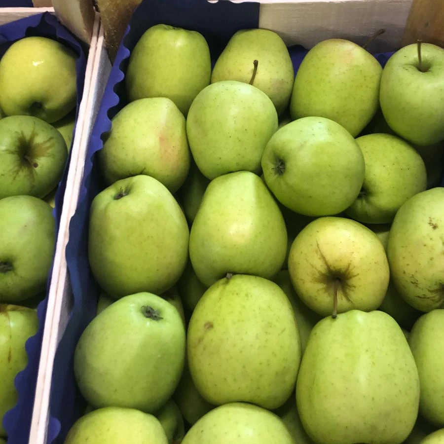 Red green apple golden