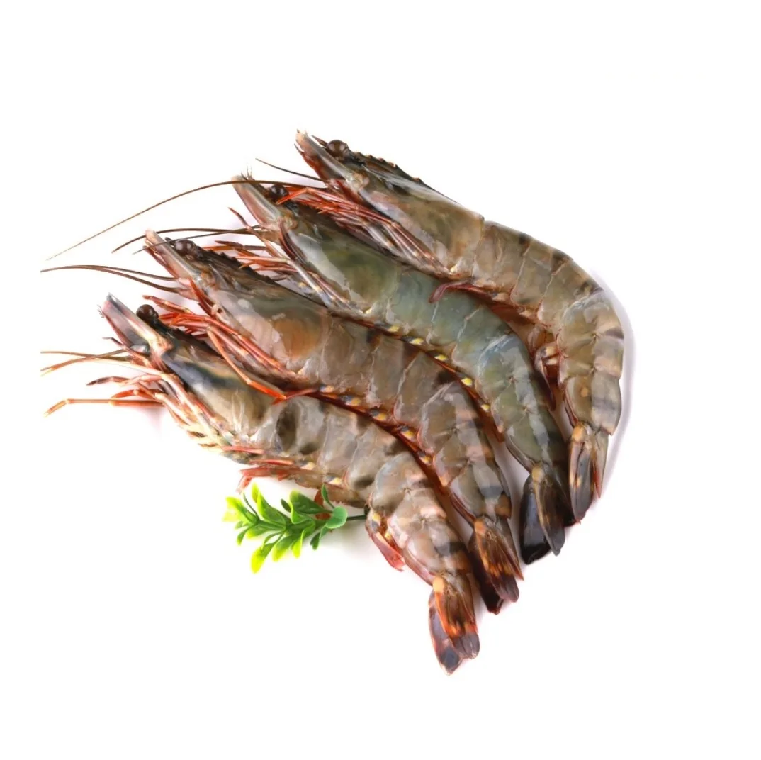 
Best Price High Quality Tiger Shrimp 