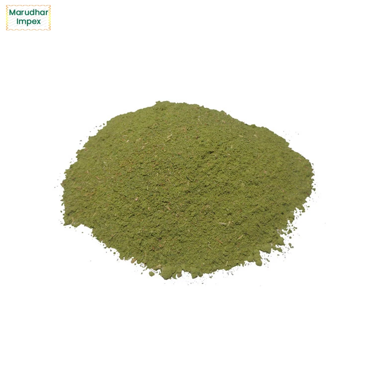 Factory Supply 100% Pure and Organic Ziziphus Nummularia Extract SIDR Leaves Powder