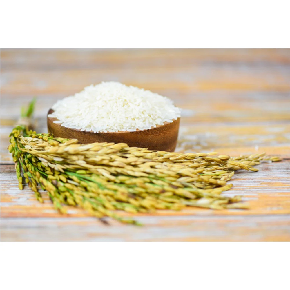 VIETNAM JASMINE RICE BEST QUALITY AND COMPETITIVE PRICE