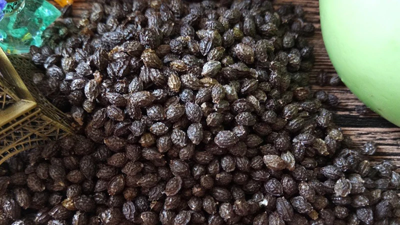 
PAW PAW HEALTHY SEEDS EDIBLE PAPAYA SEED FOR HEALTH/HEALTHY NATURAL PAPAYA SEEDS FOR EXPORTING 