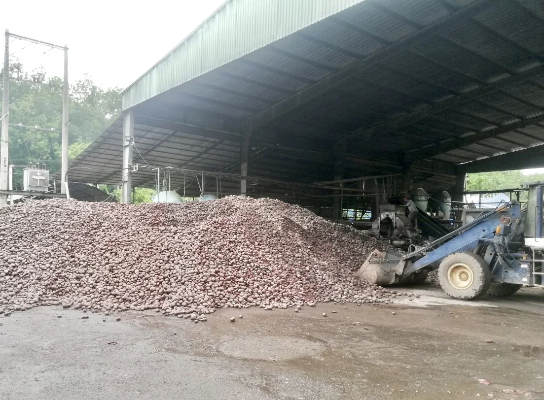 High Quality Food Grade Raw Material White Sweet Potato Starch