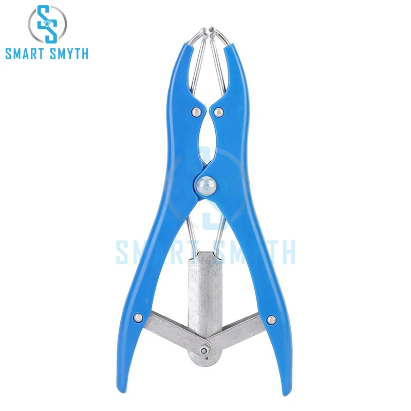 Top Design Castration Of Cattle And Sheep Farm Animals Pork Cattle Sheep Tail Docking