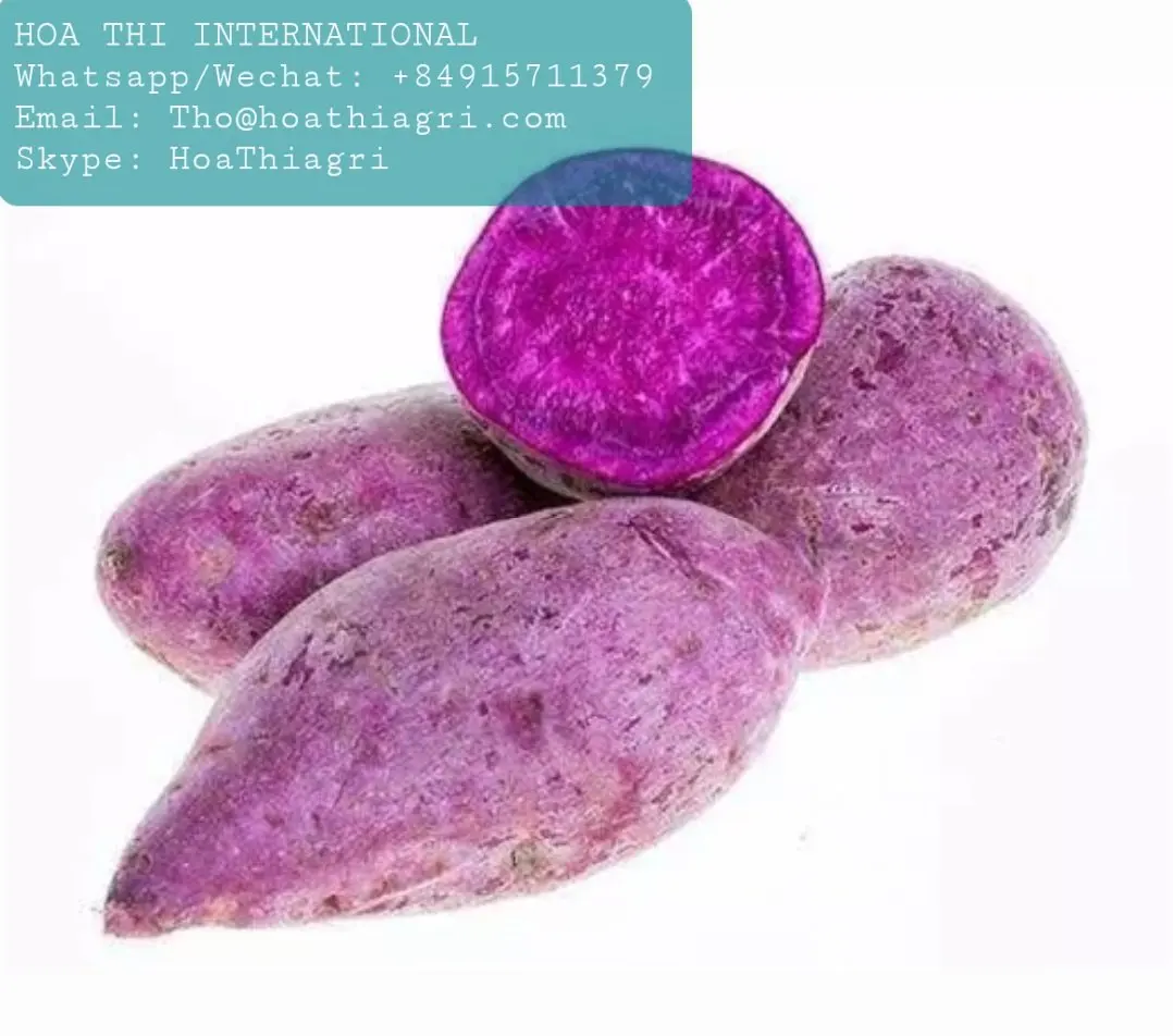 Carton Boxes Common Cultivation Type 100% Natural 170-450kg Sweet Potato Purple Flesh Vietnam With Export Quality