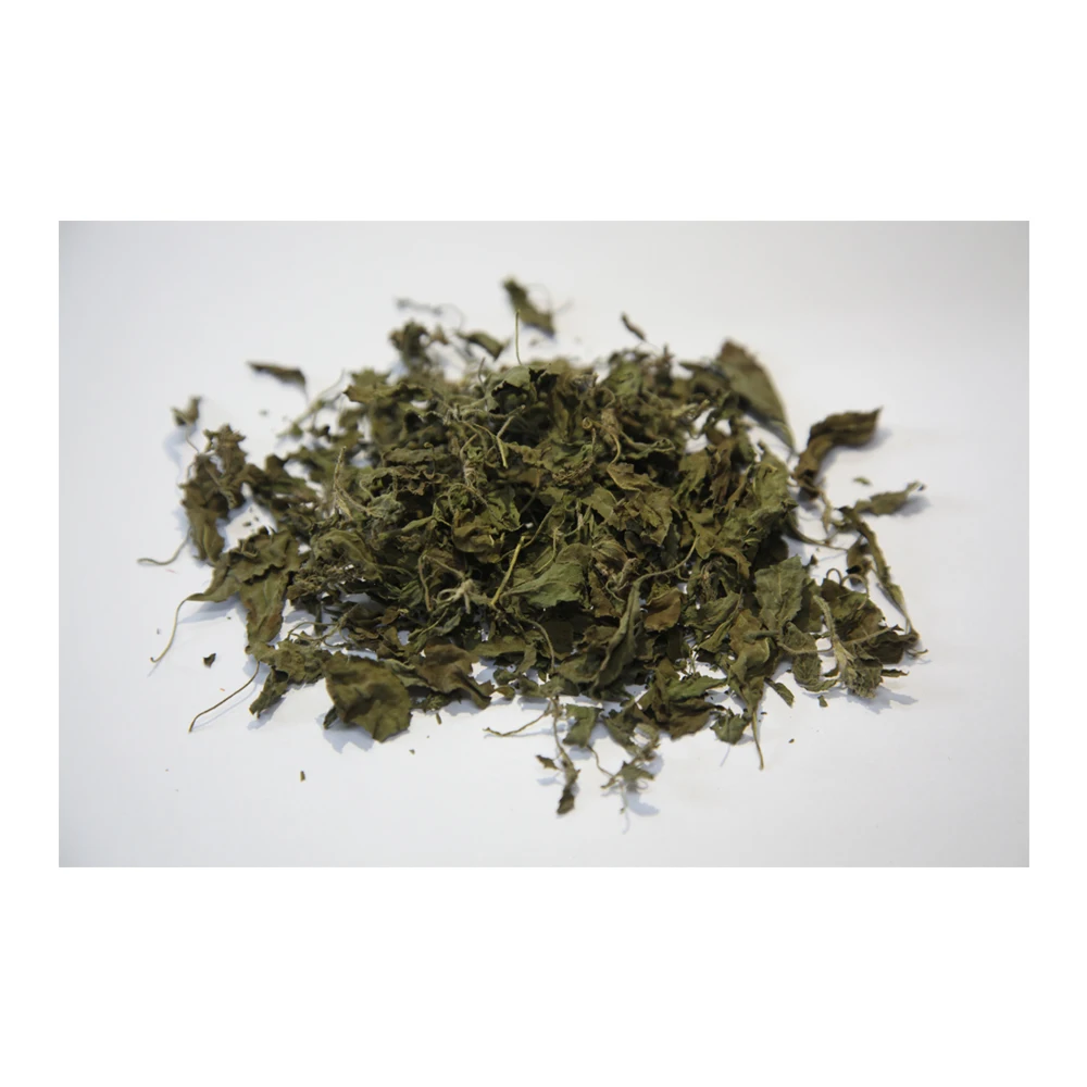 Plant Herb supplement of Holy Basil variety advantage with Best Quality from Thailand