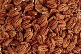 Wholesale Price Best Quality Pecan Nuts Bulk Quantity Pecan Nuts