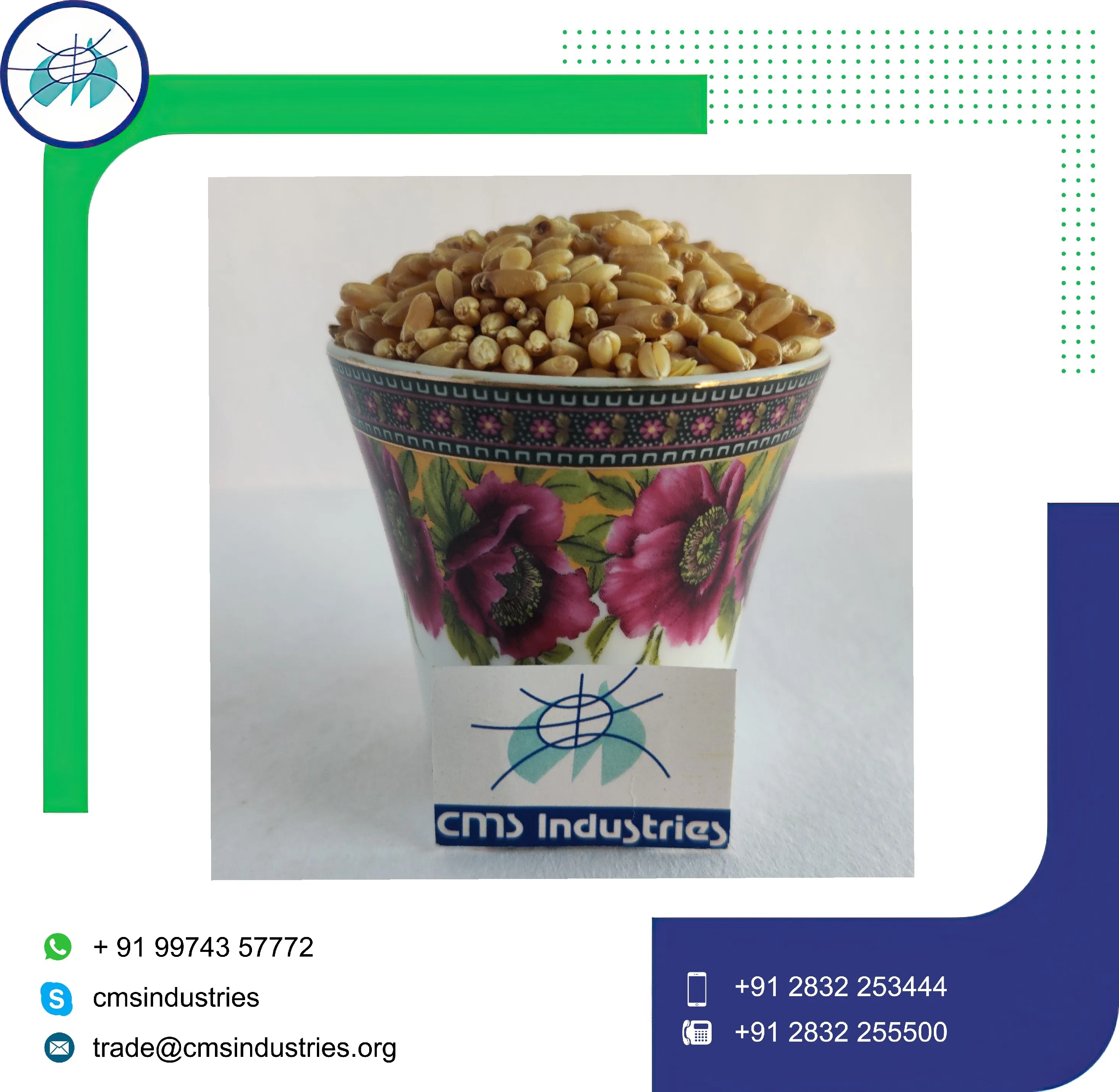 Превосходное качество пшеница Sharbati