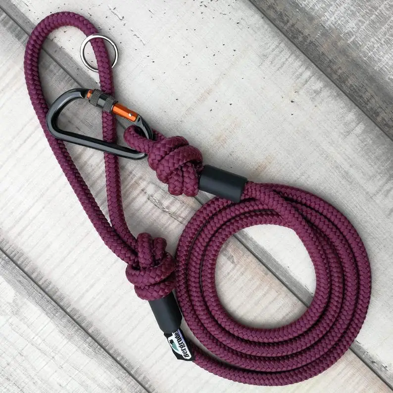 Dog leash, tauleine, leash dog soul