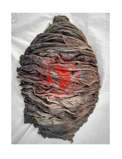 HIGH QUALITY SALTED BUFFALLO OMASUM GRADE A CLEAN FROZEN BEEF OMASUM FROM AL TAWAKAL FROZEN FOODS FOR CUSTOMER