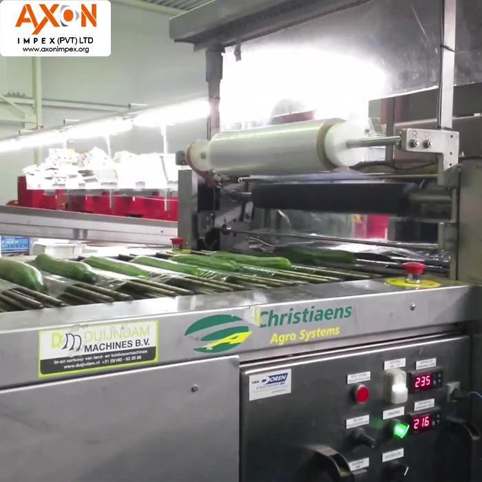 
Fresh Cucumber /Zucchini/English Cucumber/Pakistani fresh cucumber 