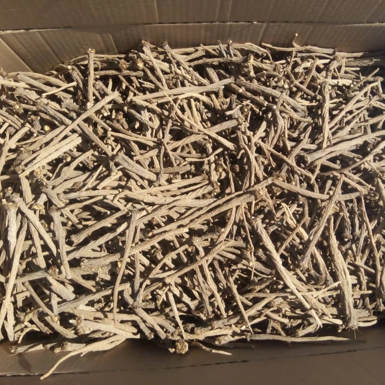 
Yellow Pellitory Roots JUNE 2020 CROP STRONG TASTE 