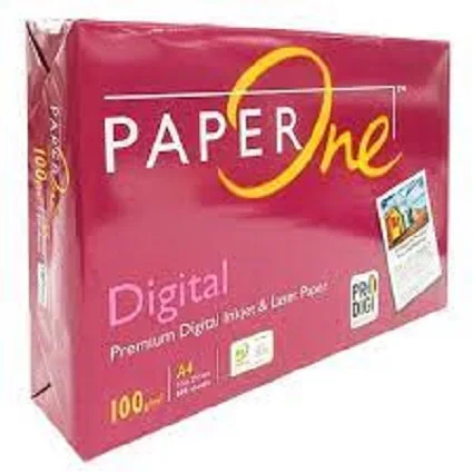 paperone 5.jpg