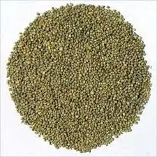 
Natural Raw Green Millet yellow millet Bajra India Origin and Animal Feeds 