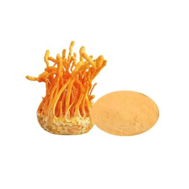 Manufacturer Supply EU and NOP Organic Cordyceps Militaris Extract powder