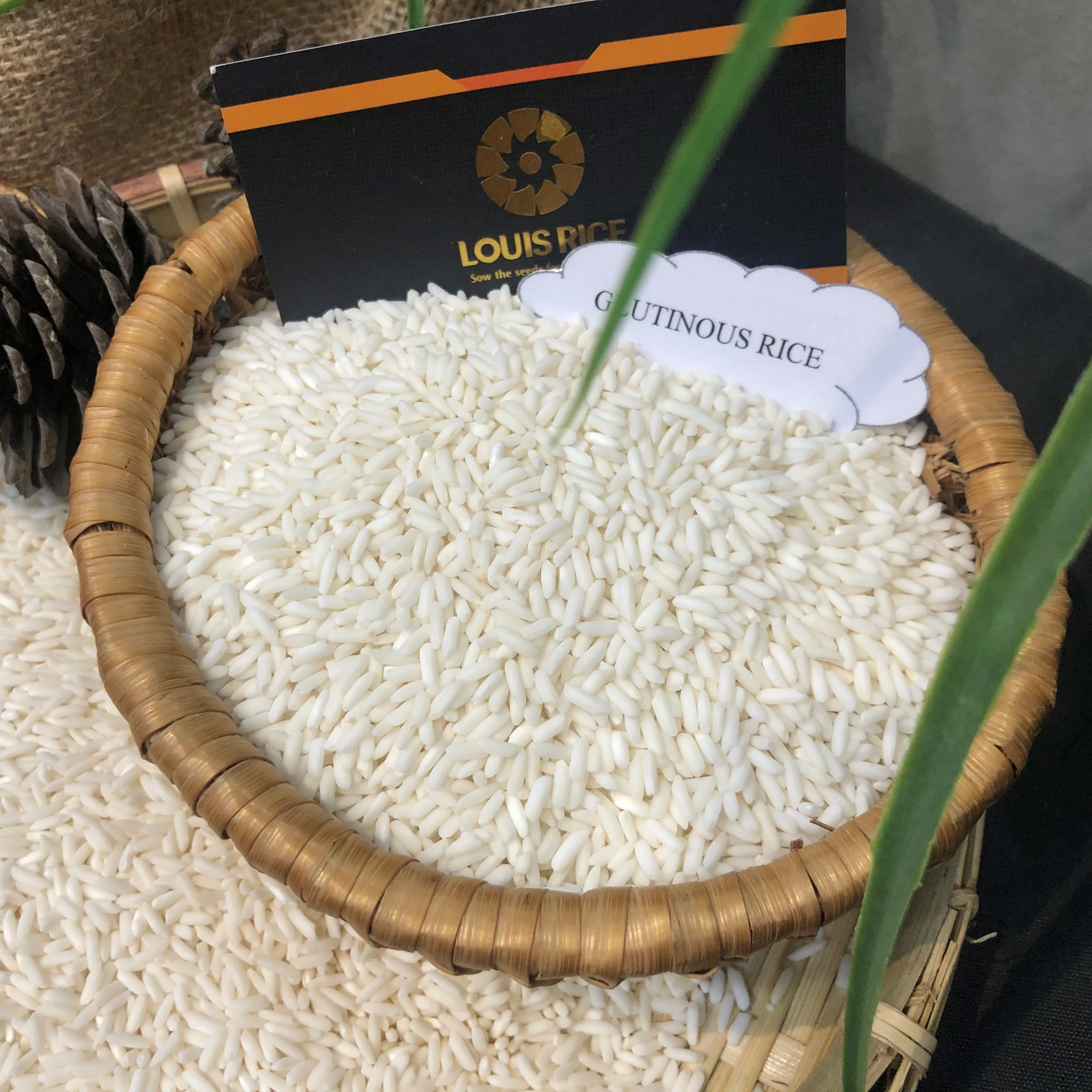 Top sellers Long An glutinous rice 10% broken