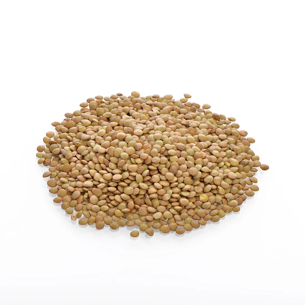 wholesale new crop good sale green lentil with best price export for food good taste