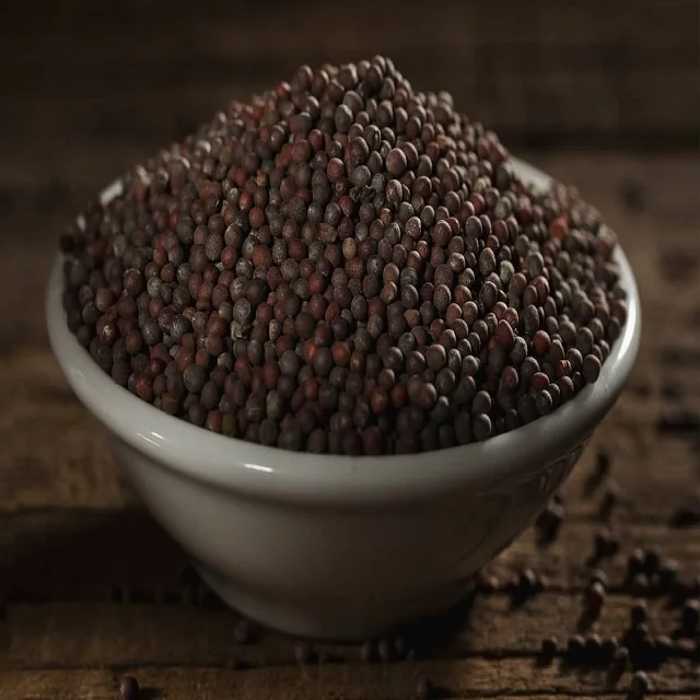 high quality High quality good price of dried top yellow and white mustard seeds mustard seed