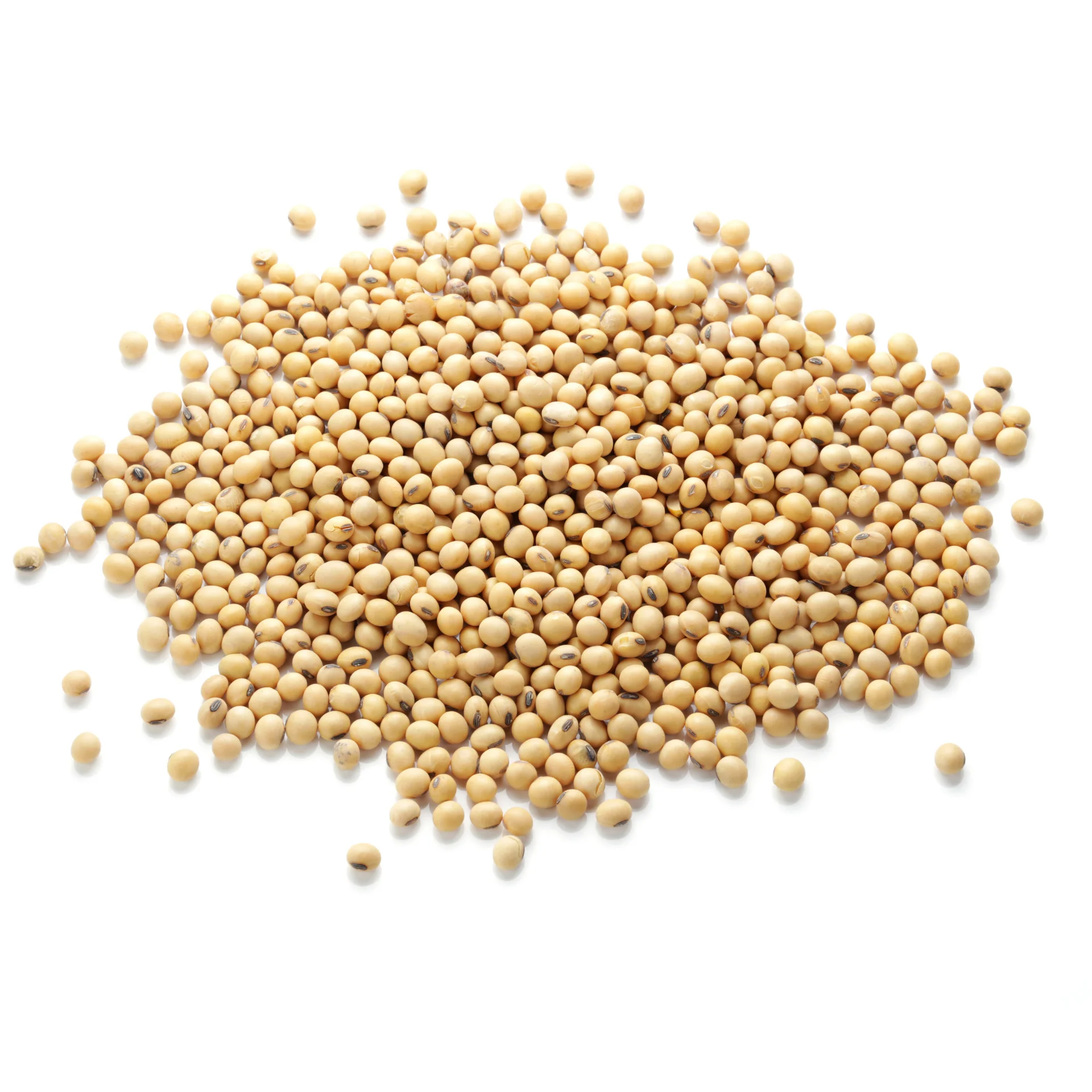 Соевая фасоль-высокий уровень белка высокое качество