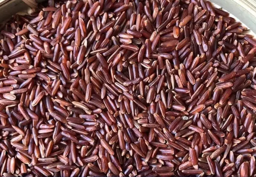 
BLACK RICE - RED RICE- BROWN RICE HEALTHY - Whatsapp 0084 989 322 607 