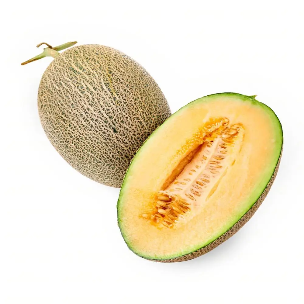 available fresh muskmelon fruits honeydew hami melon