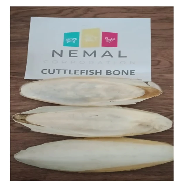 
PAKISTAN DRIED CUTTLEFISH BONE 