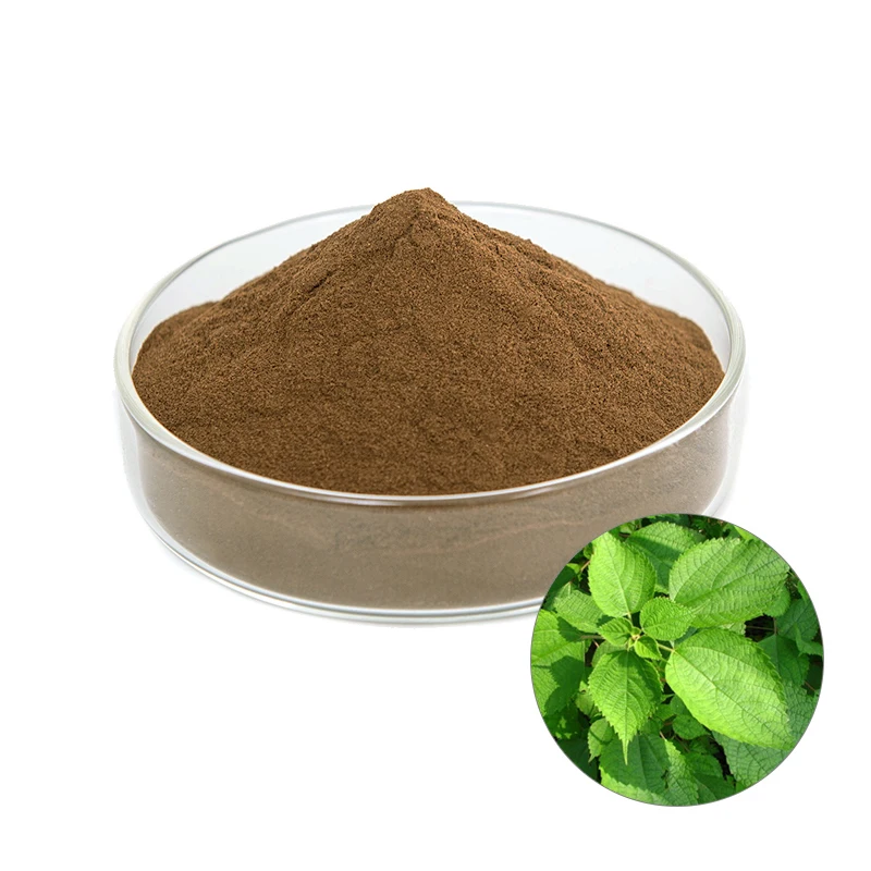 
100% Natural Nettle Roots Extract powder Urtica dioica 10 1 ratio USP EU Grade ISO 22000 UKAS Whatsapp 7087480008 