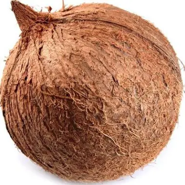 coconut1.jpg