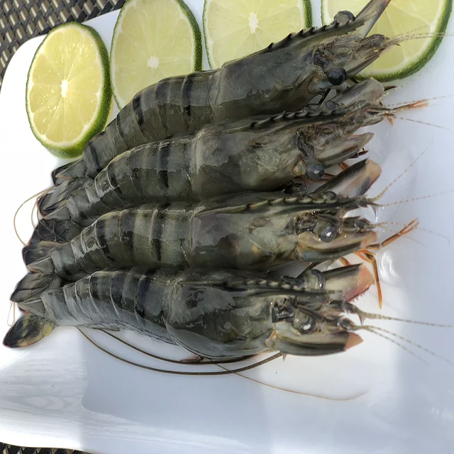 
High quality Black Tiger Shrimp From Viet Nam 