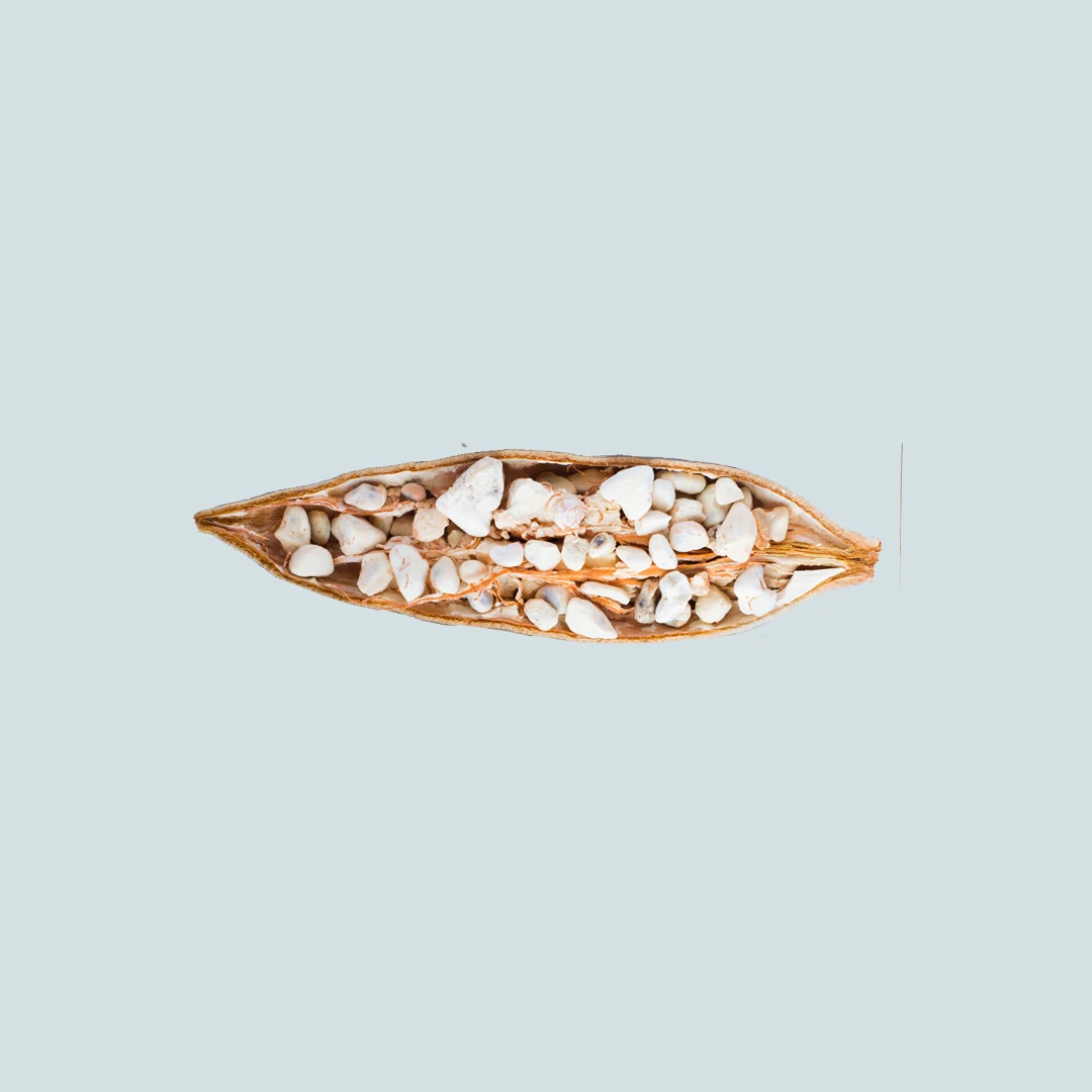 Высококачественное масло Baobab, масло baobab, порошок baobab и фрукты baobab из прямых ресурсов