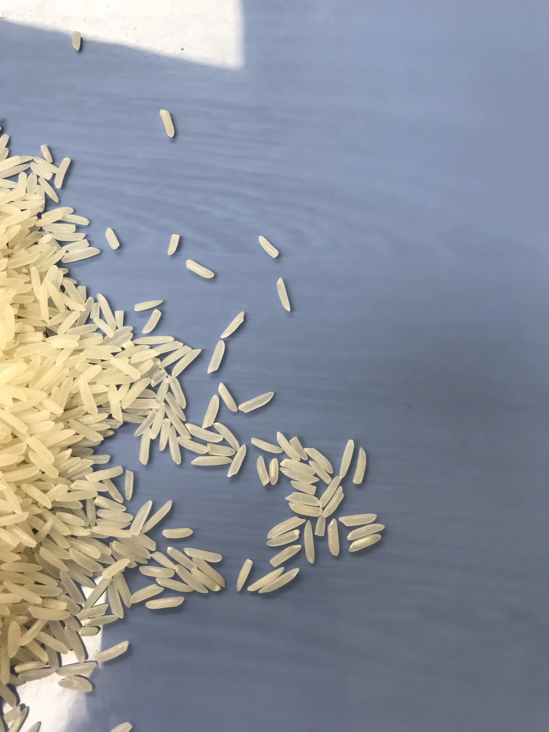 Вьетнамские экспортеры риса новый урожай сломанный 5% 25 кг полипропиленовый пакет мягкая текстура длинное зерно сушеный стиль ST24 рис