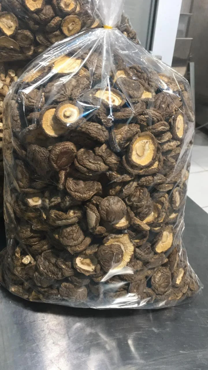 Сырой гриб шиитаке/сушеный из Вьетнама по лучшей цене лилия Лили 84 906 927
