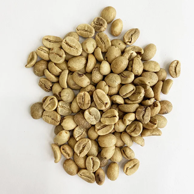 Coffee products green coffee beans robusta fresh coffee beans espresso arabica bean green