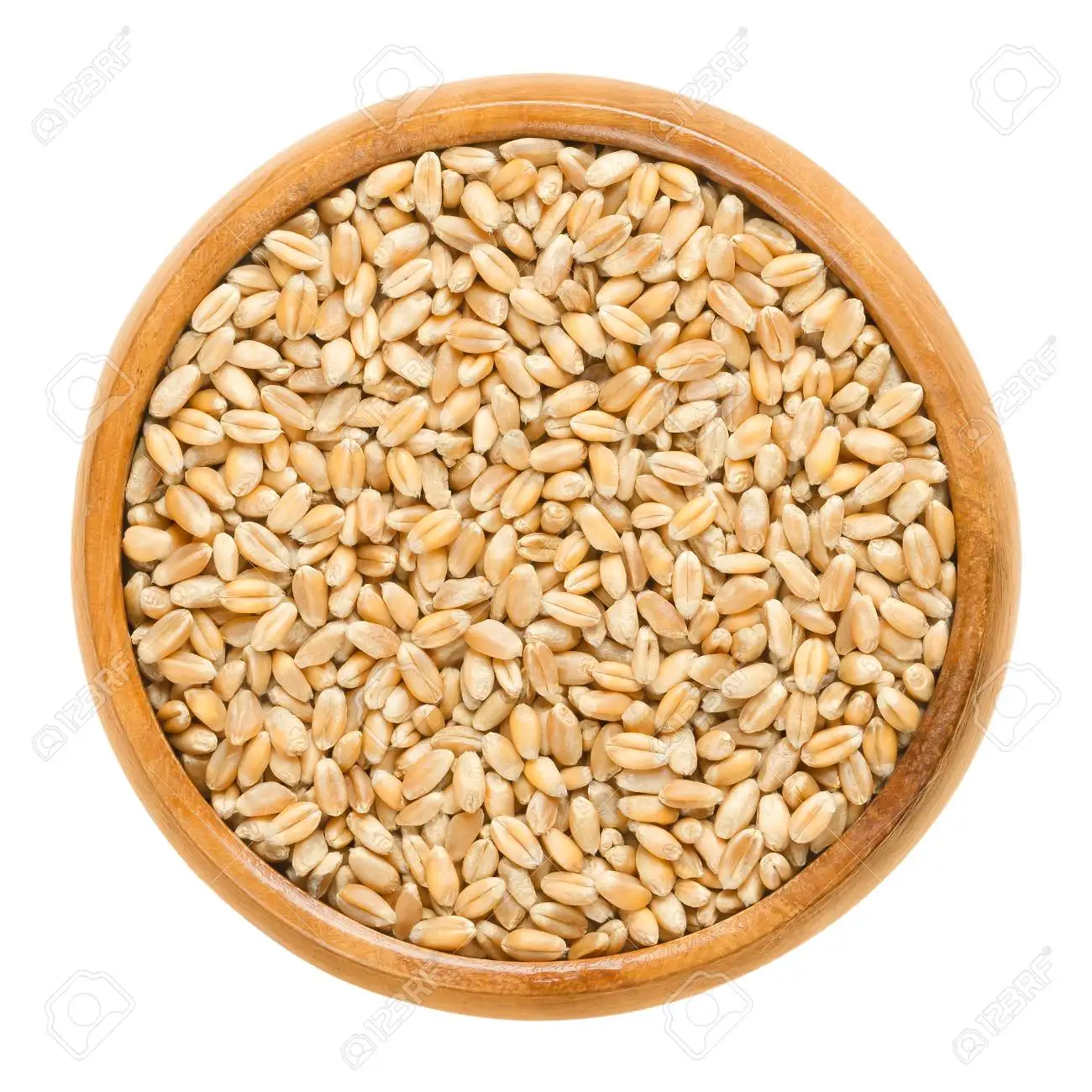 Best Quality Wheat Grain
