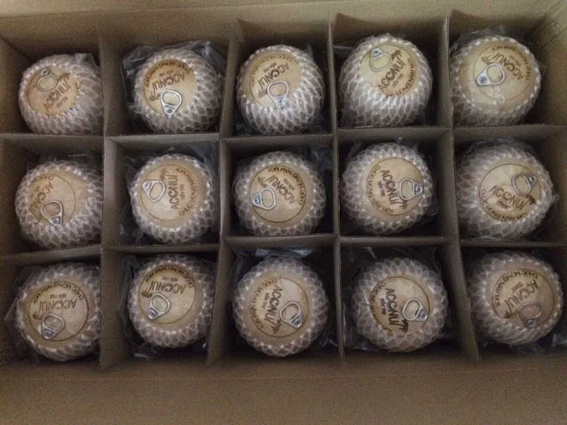 Дешевая цена зеленый кокос свежий молодой сладкий