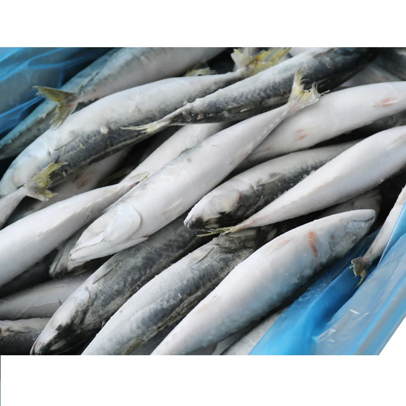 Оптовая продажа морепродуктов, замороженная Тихоокеанская скумбрия