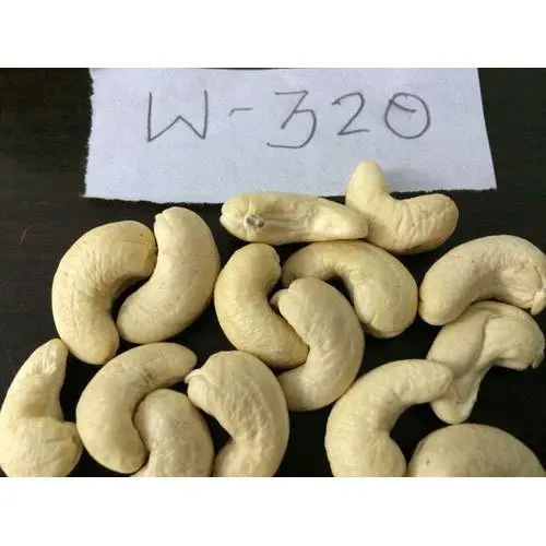 320 Cashew Nuts for Sale