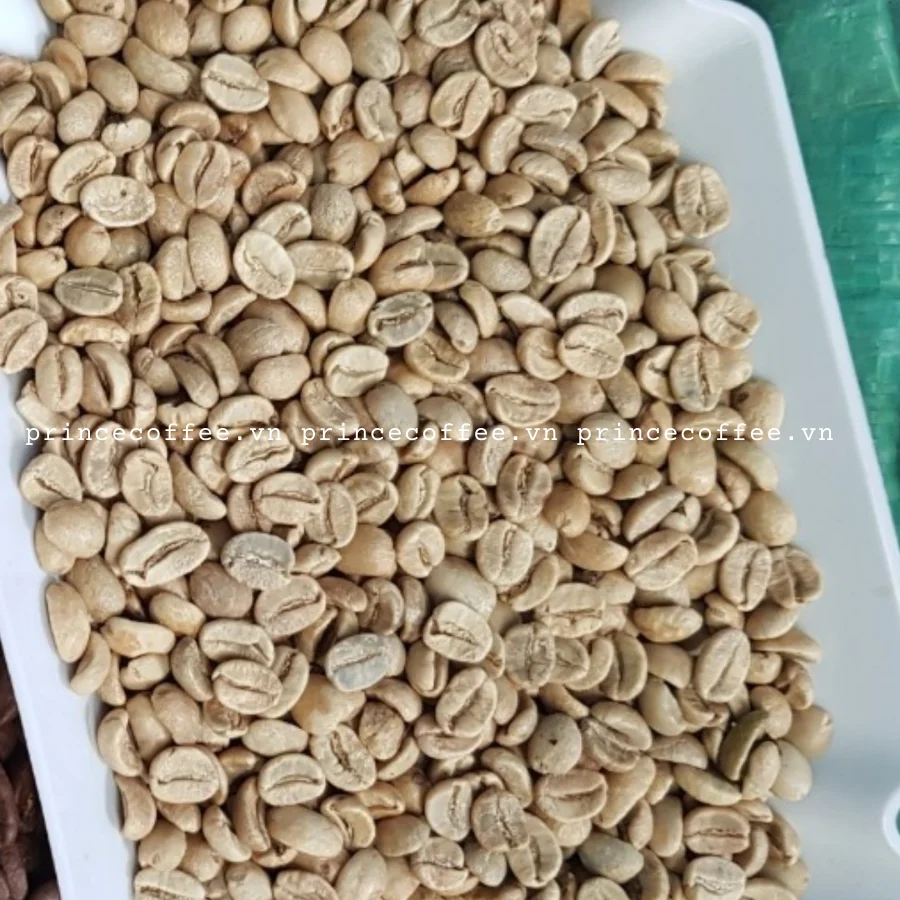  Оптовая продажа из Вьетнама кофейные зерна Arabica Robusta зеленые высококачественные зерна-Сырые Зерна