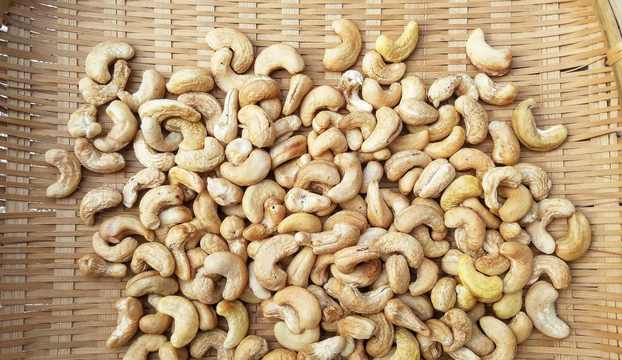 Cashew salted  Salted roasted cashew nuts Cashew nuts -W240- W320- W450