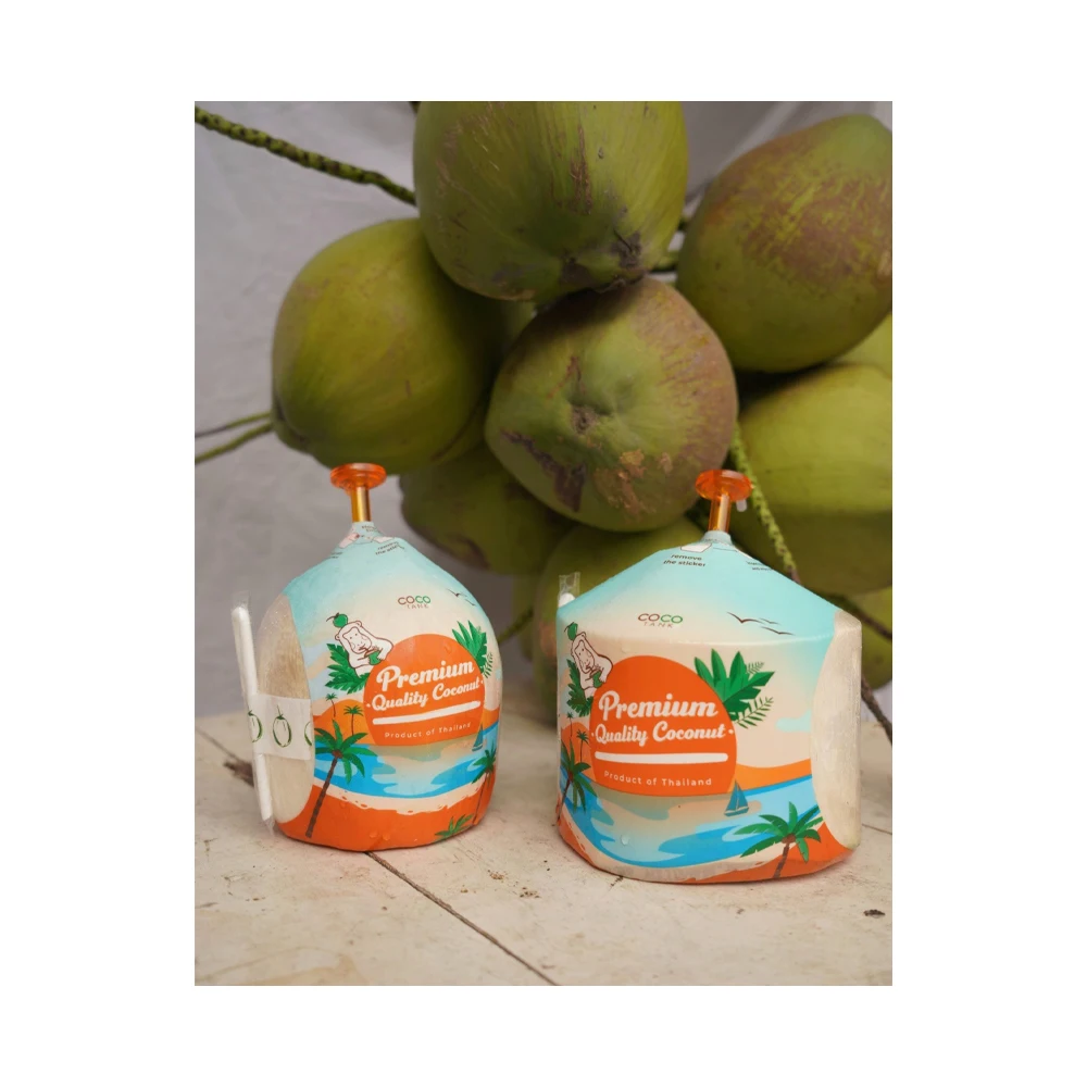 (Easy open) Premium Fresh Coconut From Thailand